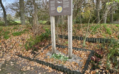 Dolor A. Martin herdacht