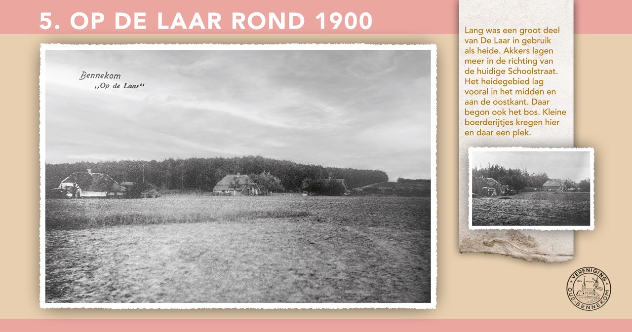 2025 OMD nr 5 rond 1900