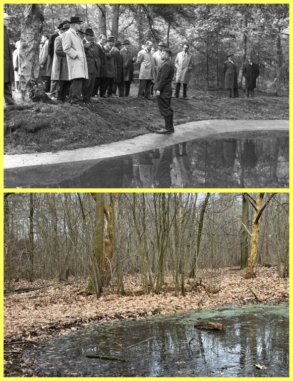 308 Buurtbos Vogelvijver