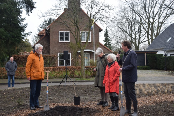 Vredesboom in Bennekom