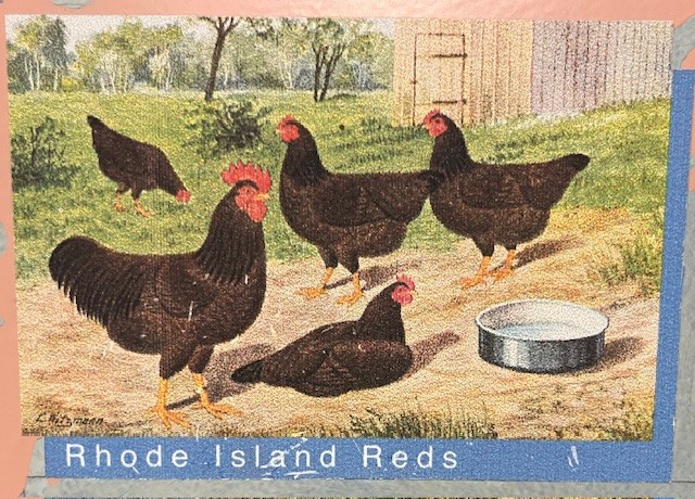 Hofrust Bennekom HVOB Red