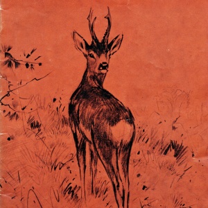 Informatiegids De Hoge Veluwe 1953