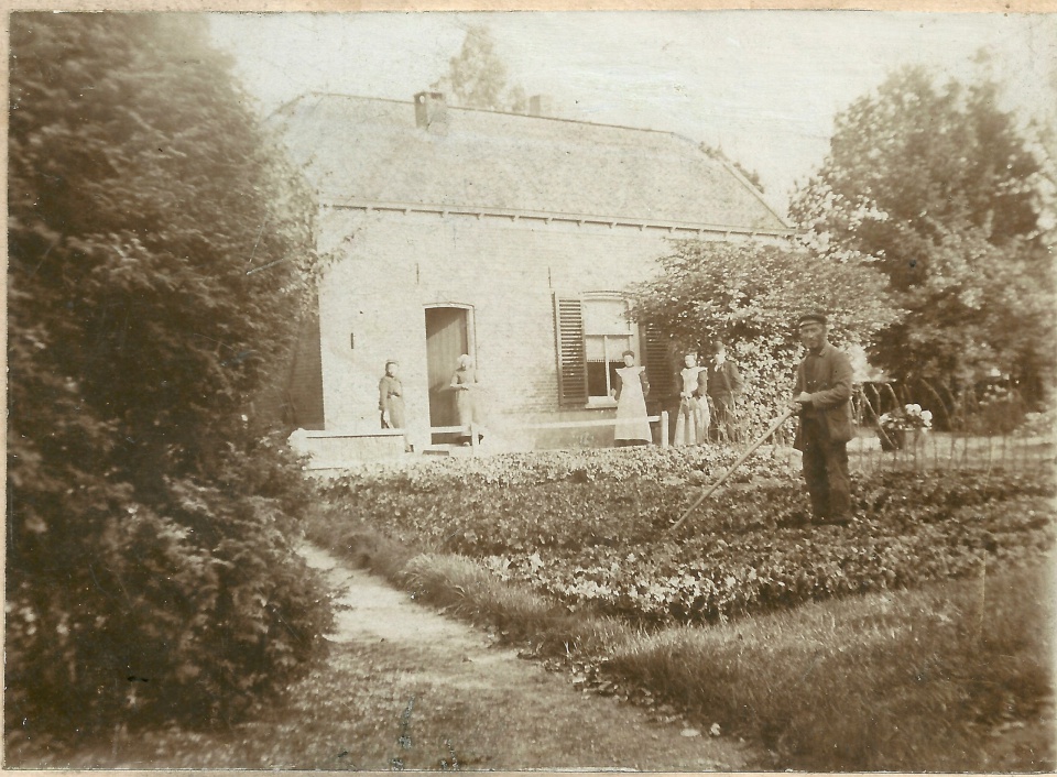 Wie weet waar……….                                                                 DE DOKTER IN DE ACHTERTUIN