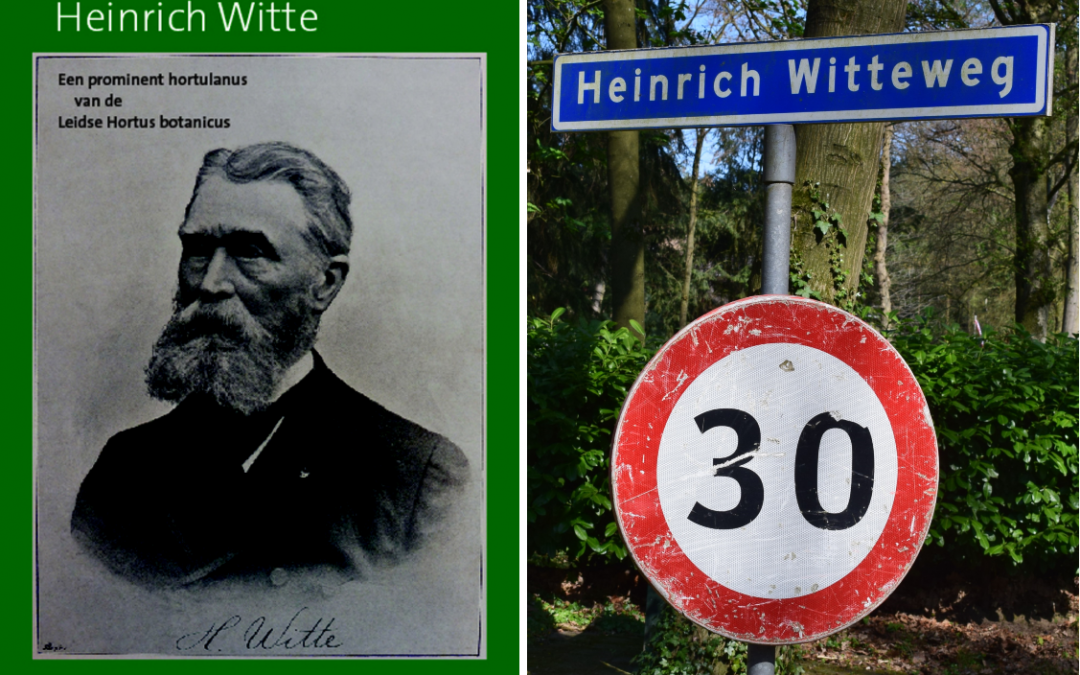 Boek over Heinrich Witte verschenen