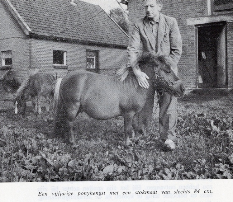 Lezing over Hendrik Koekoek
