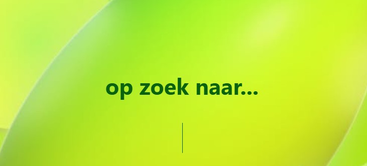 We zijn op zoek naar……………..