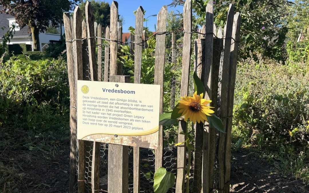 80 jaar vrijheid, bloem bij Vredesboom