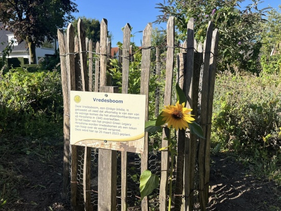 80 jaar vrijheid, bloem bij Vredesboom